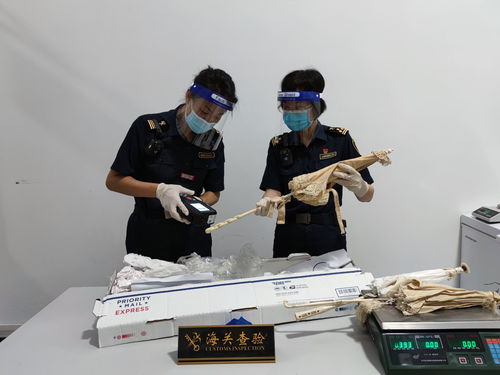 江門廣播電視臺 打造精品節目，傳播僑鄉之聲